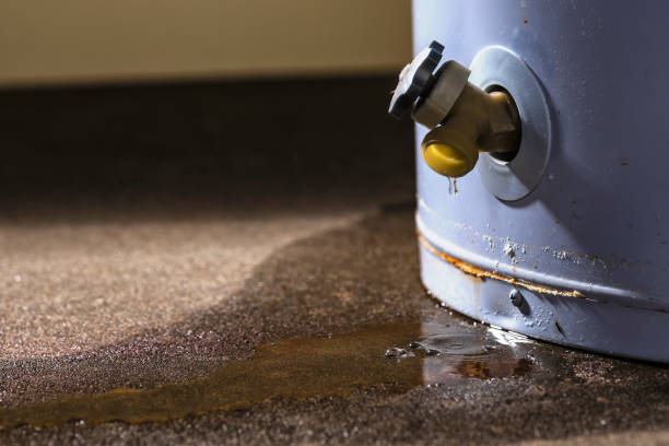 Best Fire Damage Restoration  in Twin Grove, IL