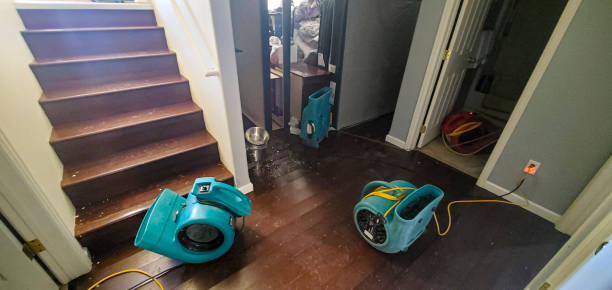 Water damage restoration insurance claims in Twin Grove, IL