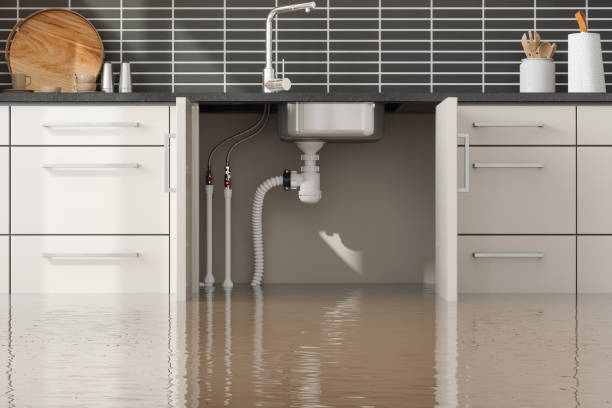 Best Ceiling water damage repair  in Twin Grove, IL
