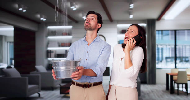 Best Sewage cleanup and water damage restoration  in Twin Grove, IL